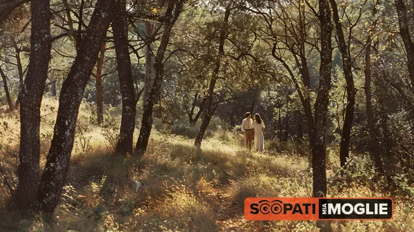 Una coppia cammina tra gli alberi di un bosco illuminato dalla luce calda del sole filtrata tra i rami.